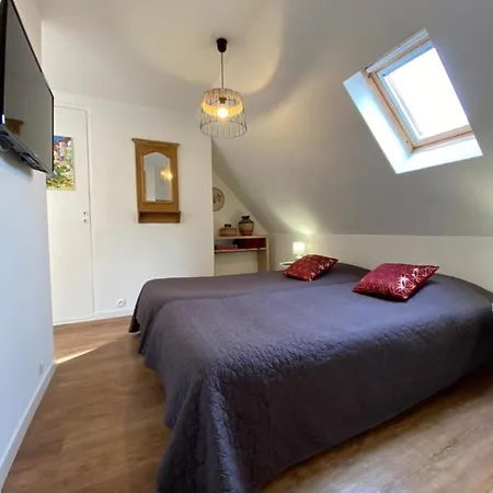 L'ours De - En Centre Colmar