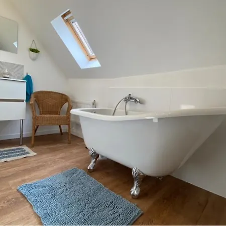 L'ours De - En Centre * Colmar