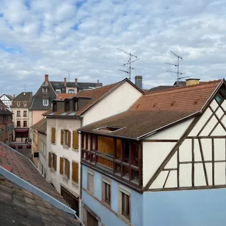 Apartman L'ours De - En Centre Colmar