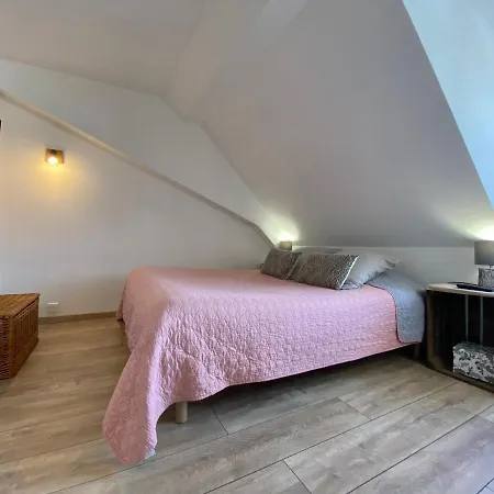 L'ours De - En Centre Colmar