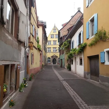 L'ours De - En Centre Colmar