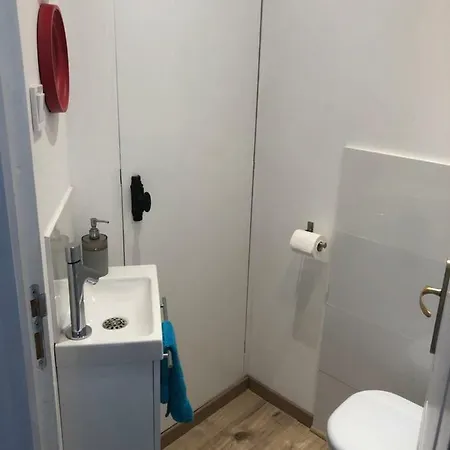 L'ours De - En Centre Colmar