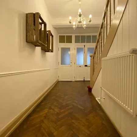 L'ours De - En Centre Colmar