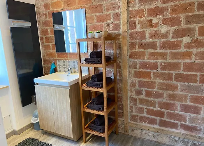 L'ours De - En Centre Daire *