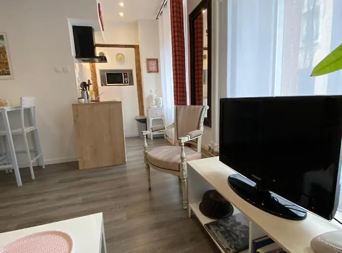 L'ours De - En Centre Colmar