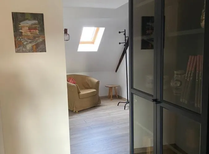 L'ours De - En Centre Κολμάρ