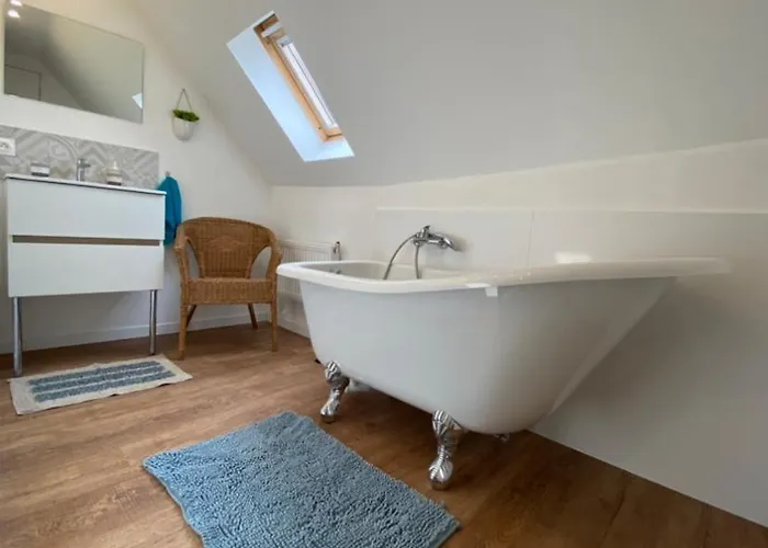 L'ours De - En Centre * Colmar