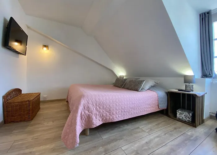 L'ours De - En Centre Κολμάρ