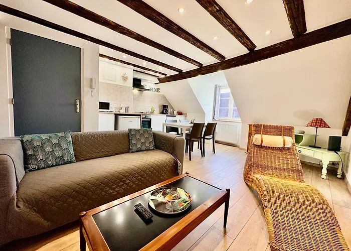 L'ours De - En Centre Colmar