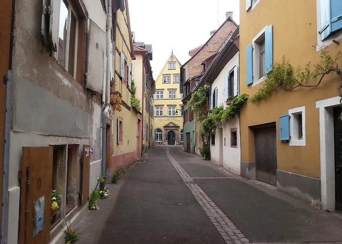 L'ours De - En Centre Colmar