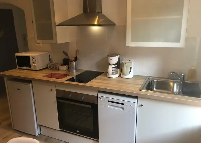 L'ours De - En Centre Colmar