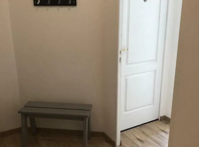 L'ours De - En Centre * Κολμάρ